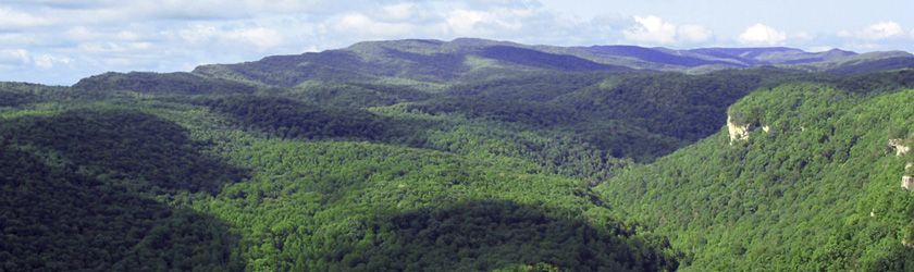 View of Mountian